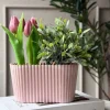 VIAMAJA Aflang potte i beton look - Rosa Hot