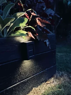 VIAMAJA Aura Solar Lampe - 2 Pak Best