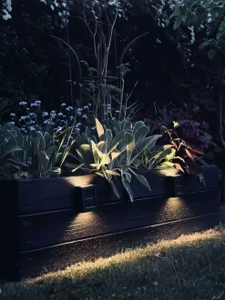 VIAMAJA Aura Solar Lampe - 2 Pak Best