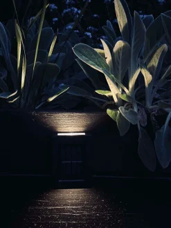 VIAMAJA Aura Solar Lampe - 2 Pak Best
