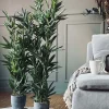 VIAMAJA Bambus i potte 110cm Outlet