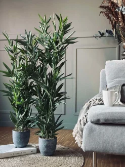 VIAMAJA Bambus i potte 110cm Outlet