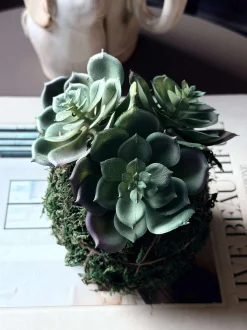 VIAMAJA Blomst husløg moskugle Clearance