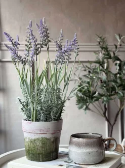 VIAMAJA Blomst i potte Sale