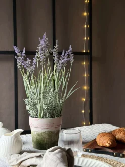 VIAMAJA Blomst i potte Sale