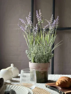 VIAMAJA Blomst i potte Sale