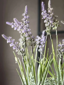 VIAMAJA Blomst i potte Sale
