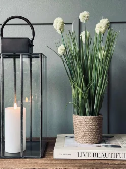 VIAMAJA Blomst i potte Clearance