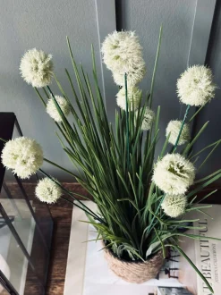 VIAMAJA Blomst i potte Clearance