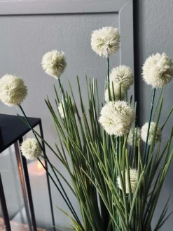 VIAMAJA Blomst i potte Clearance