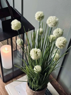 VIAMAJA Blomst i potte Clearance