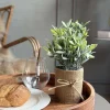 VIAMAJA Blomst i potte Best