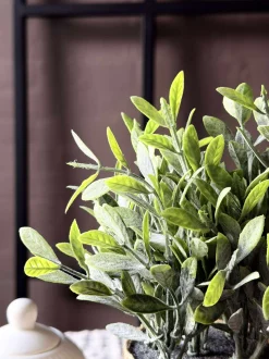 VIAMAJA Blomst i potte Best