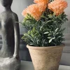 VIAMAJA Blomst i rustik potte - Coral Outlet