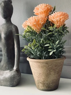 VIAMAJA Blomst i rustik potte - Coral Outlet