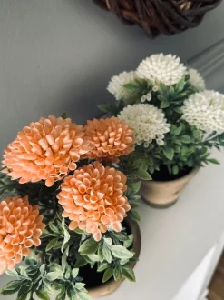 VIAMAJA Blomst i rustik potte - Coral Outlet