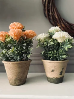 VIAMAJA Blomst i rustik potte - Coral Outlet