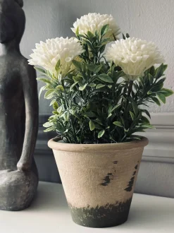 VIAMAJA Blomst i rustik potte - Hvid Online
