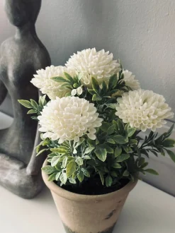 VIAMAJA Blomst i rustik potte - Hvid Online