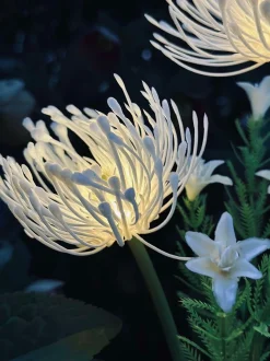 VIAMAJA Blomst med solceller - Spider Lili hvid