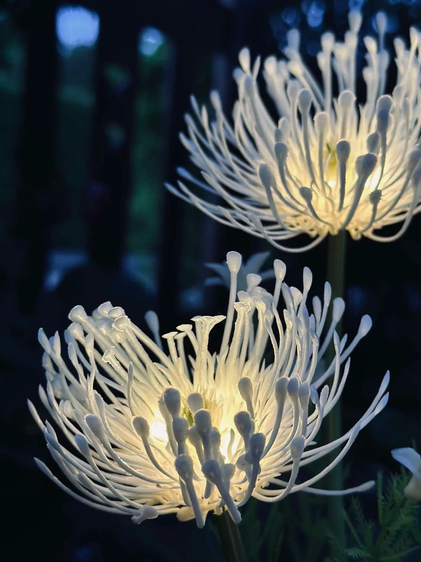 VIAMAJA Blomst med solceller - Spider Lili hvid
