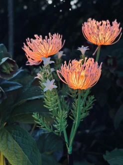 VIAMAJA Blomst med solceller - Spider Lili rose Discount