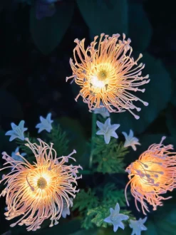 VIAMAJA Blomst med solceller - Spider Lili rose Discount