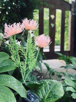 VIAMAJA Blomst med solceller - Spider Lili rose Discount