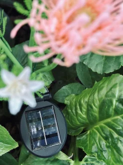 VIAMAJA Blomst med solceller - Spider Lili rose Discount