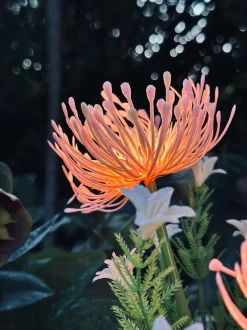 VIAMAJA Blomst med solceller - Spider Lili rose Discount