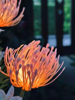 VIAMAJA Blomst med solceller - Spider Lili rose Discount