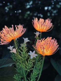 VIAMAJA Blomst med solceller - Spider Lili rose Discount