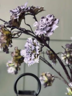 VIAMAJA Blomst nellike Hot