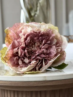 VIAMAJA Blomst Pæon - Antik Cream / rosa Hot