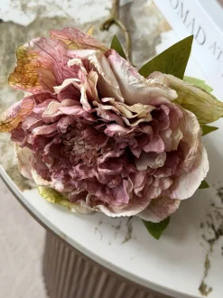 VIAMAJA Blomst Pæon - Antik Cream / rosa Hot