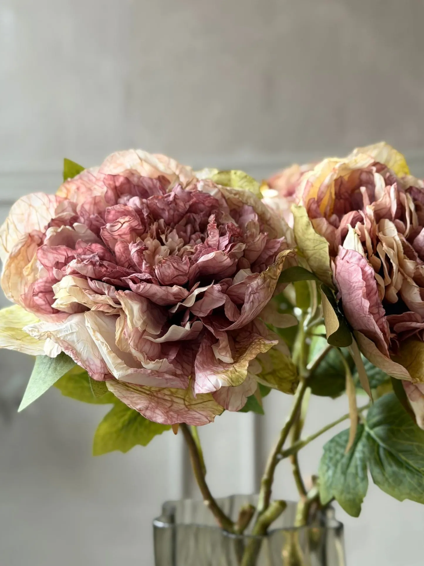 VIAMAJA Blomst Pæon - Antik Cream / rosa Hot
