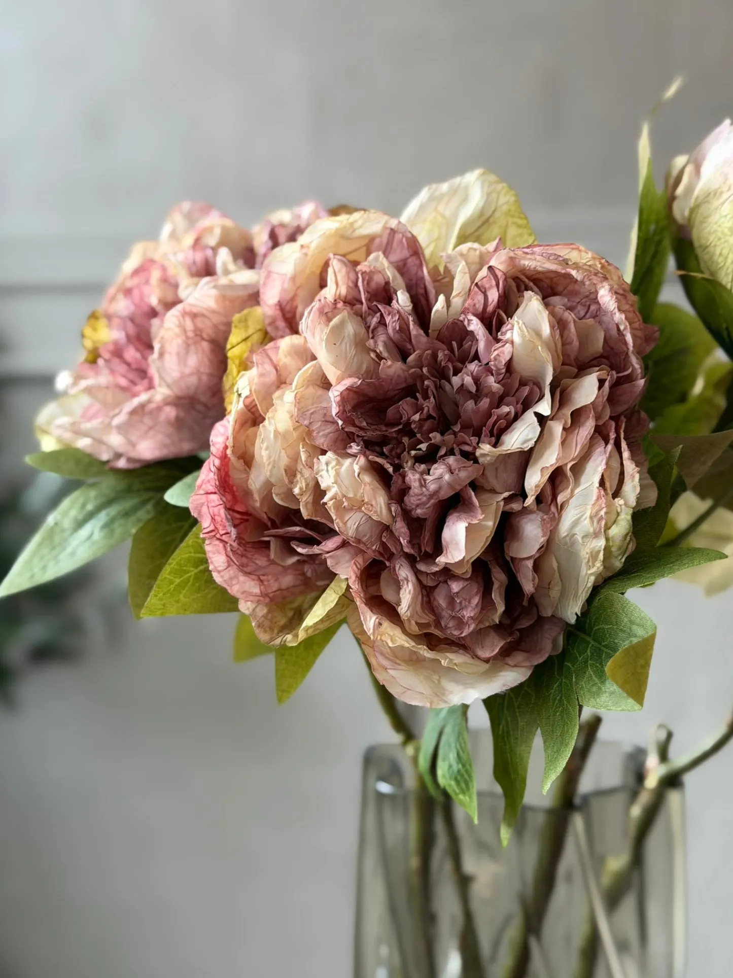 VIAMAJA Blomst Pæon - Antik Cream / rosa Hot