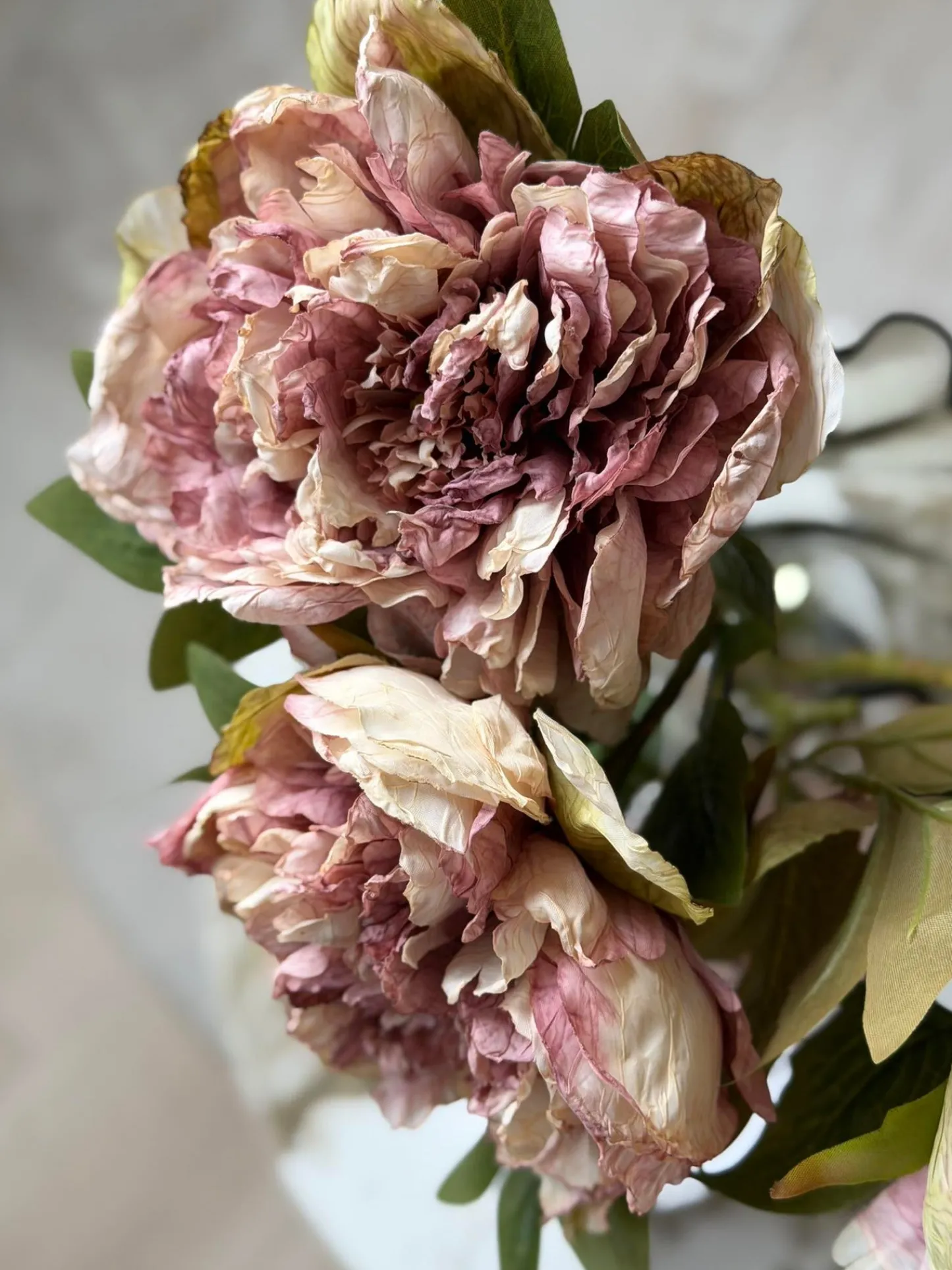 VIAMAJA Blomst Pæon - Antik Cream / rosa Hot