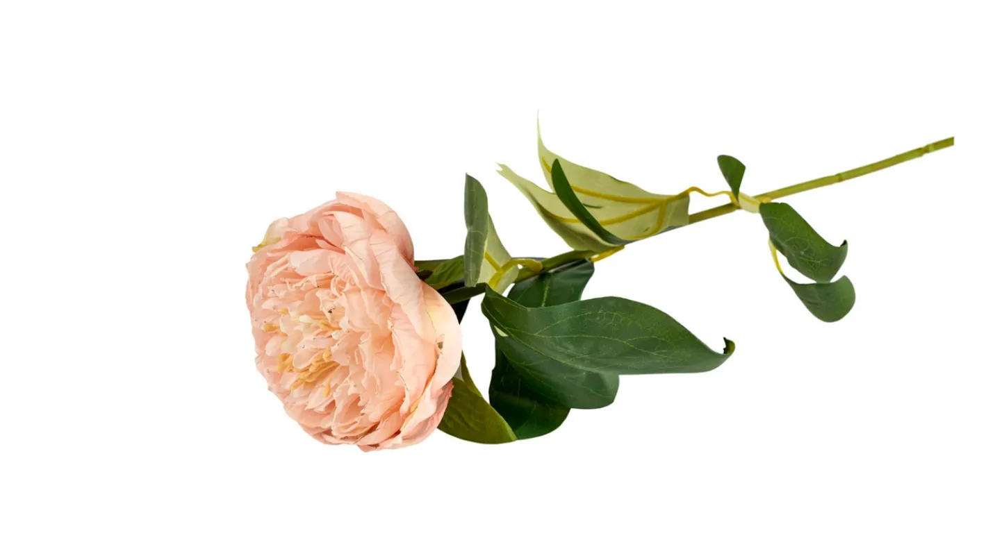 VIAMAJA Blomst Pæon - Sart rosa 70cm Clearance