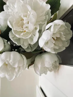 VIAMAJA Blomst Pæon hvid