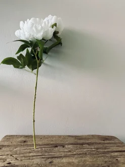 VIAMAJA Blomst Pæon hvid