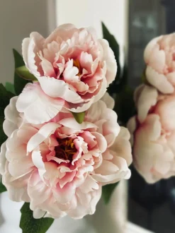 VIAMAJA Blomst Pæon pink Sale