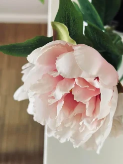 VIAMAJA Blomst Pæon pink Sale