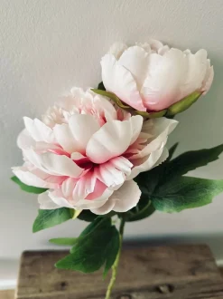 VIAMAJA Blomst Pæon pink Sale