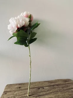 VIAMAJA Blomst Pæon pink Sale