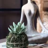 VIAMAJA Blomst sukkulent moskugle Sale