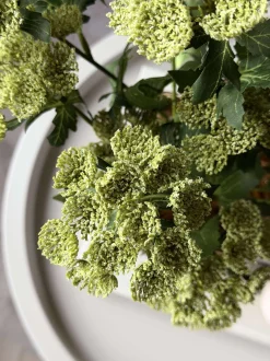 VIAMAJA Blomsterstilk - Lime Clearance