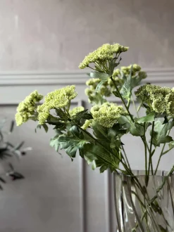 VIAMAJA Blomsterstilk - Lime Clearance