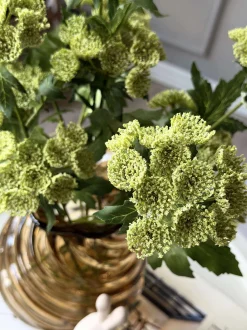 VIAMAJA Blomsterstilk - Lime Clearance