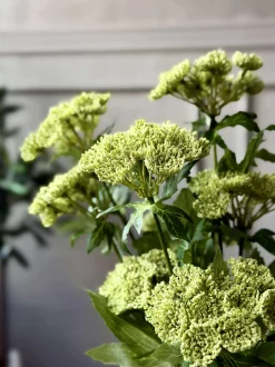 VIAMAJA Blomsterstilk - Lime Clearance